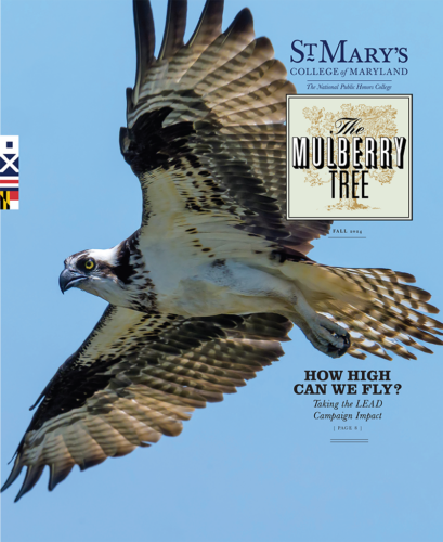 Mulberry Tree Magazine cover with Image of bird with a blue sky backdrop.